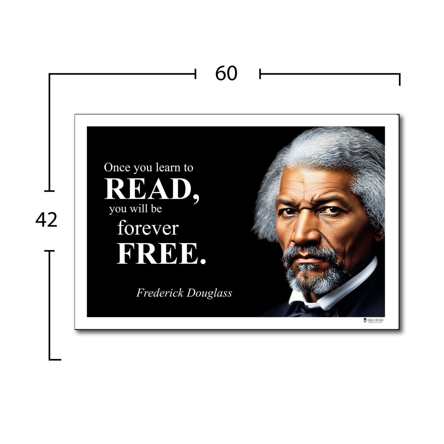 Frederick Douglass Inspirational Quote Poster - Young N Refined