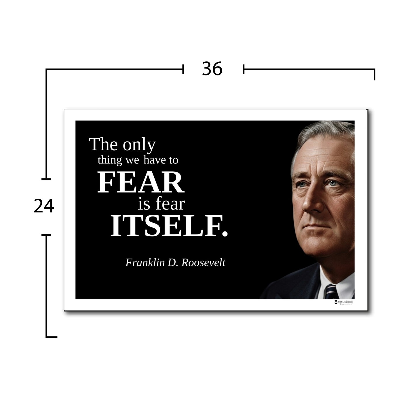Franklin D. Roosevelt Inspirational Quote Wall Art