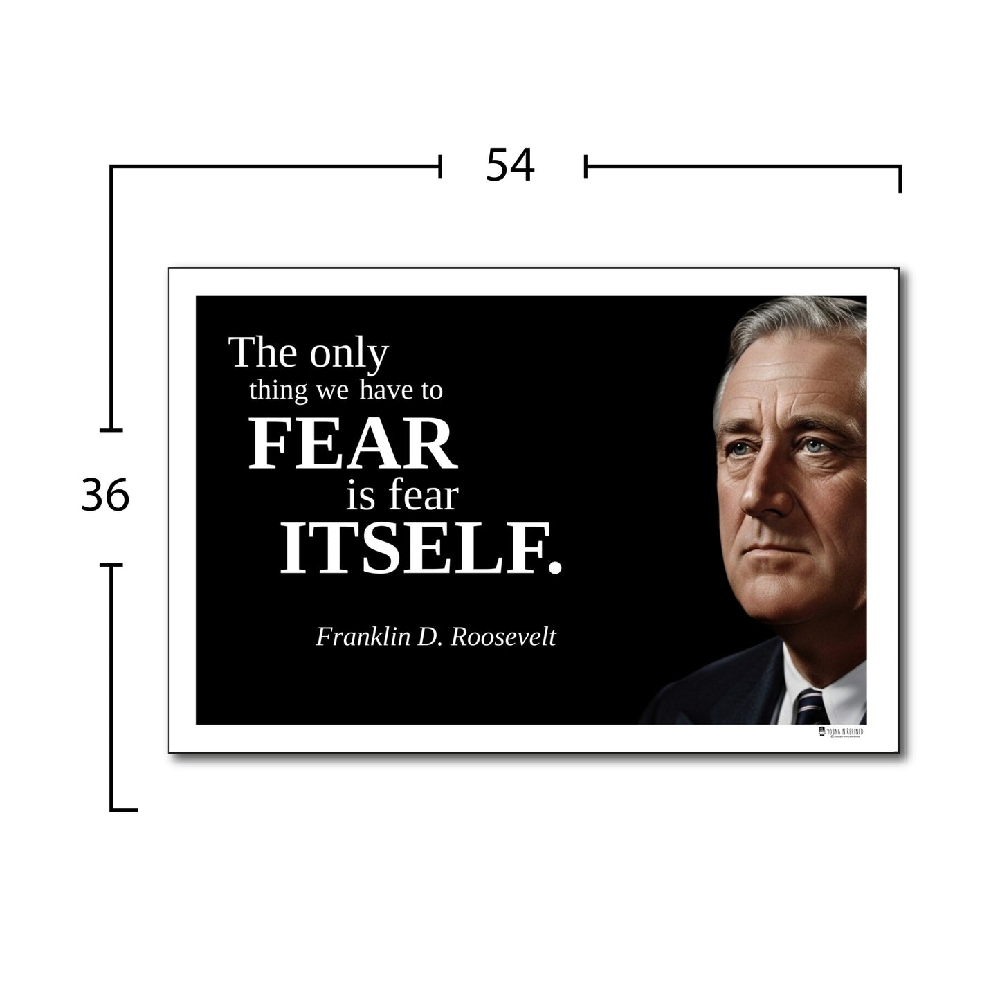 Franklin D. Roosevelt Inspirational Quote Wall Art