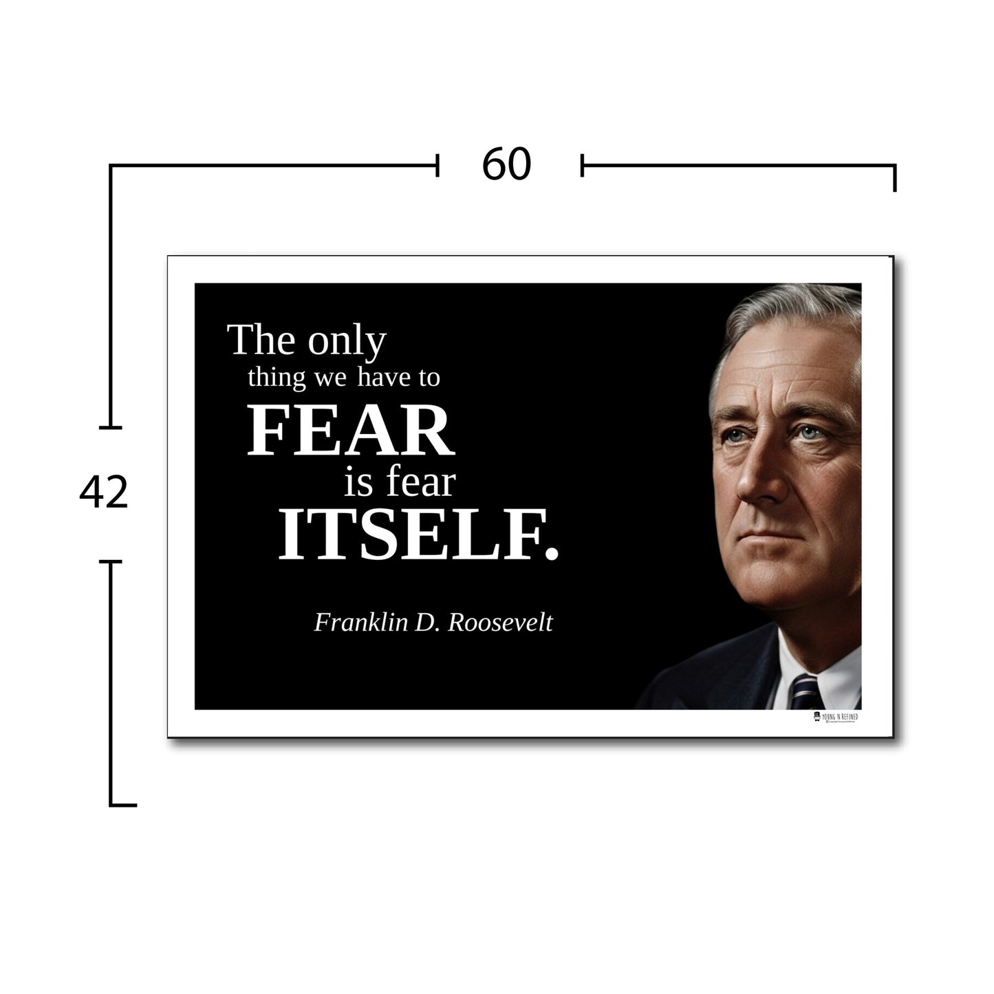 Franklin D. Roosevelt Inspirational Quote Wall Art
