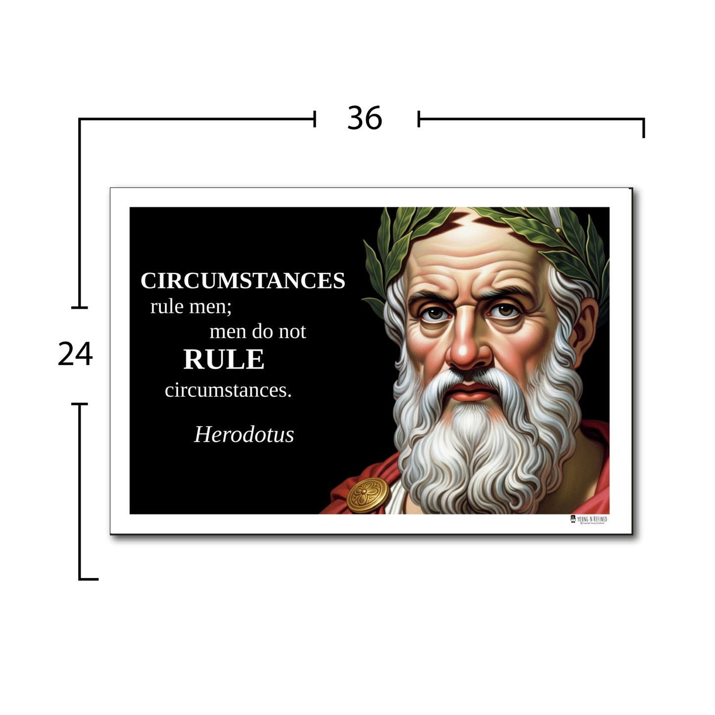 Herodotus Inspirational Quote Poster - Young N Refined