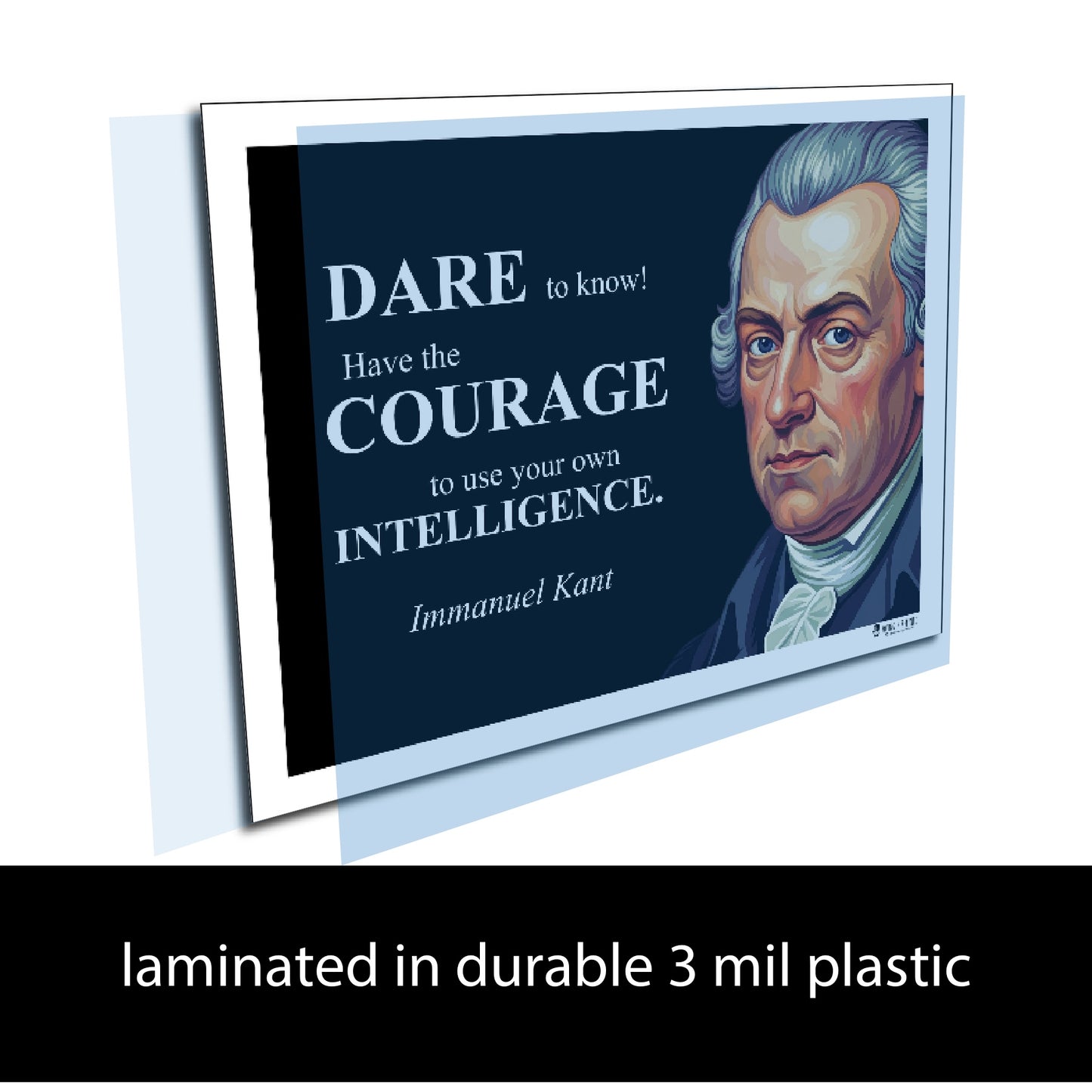 Immanuel Kant Inspirational Quote Wall Art