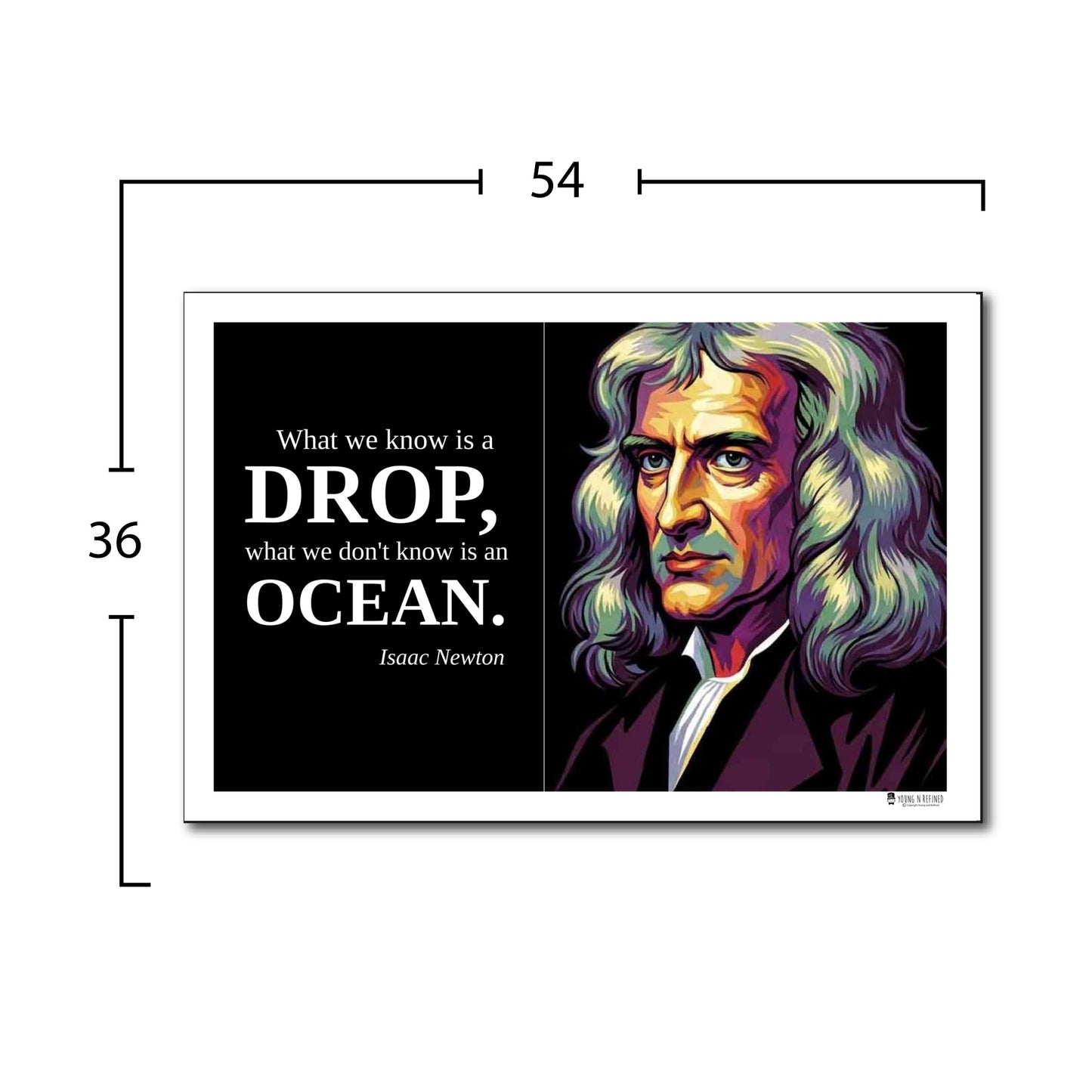 Isaac Newton Inspirational Quote Poster - "What we know is a DROP..."