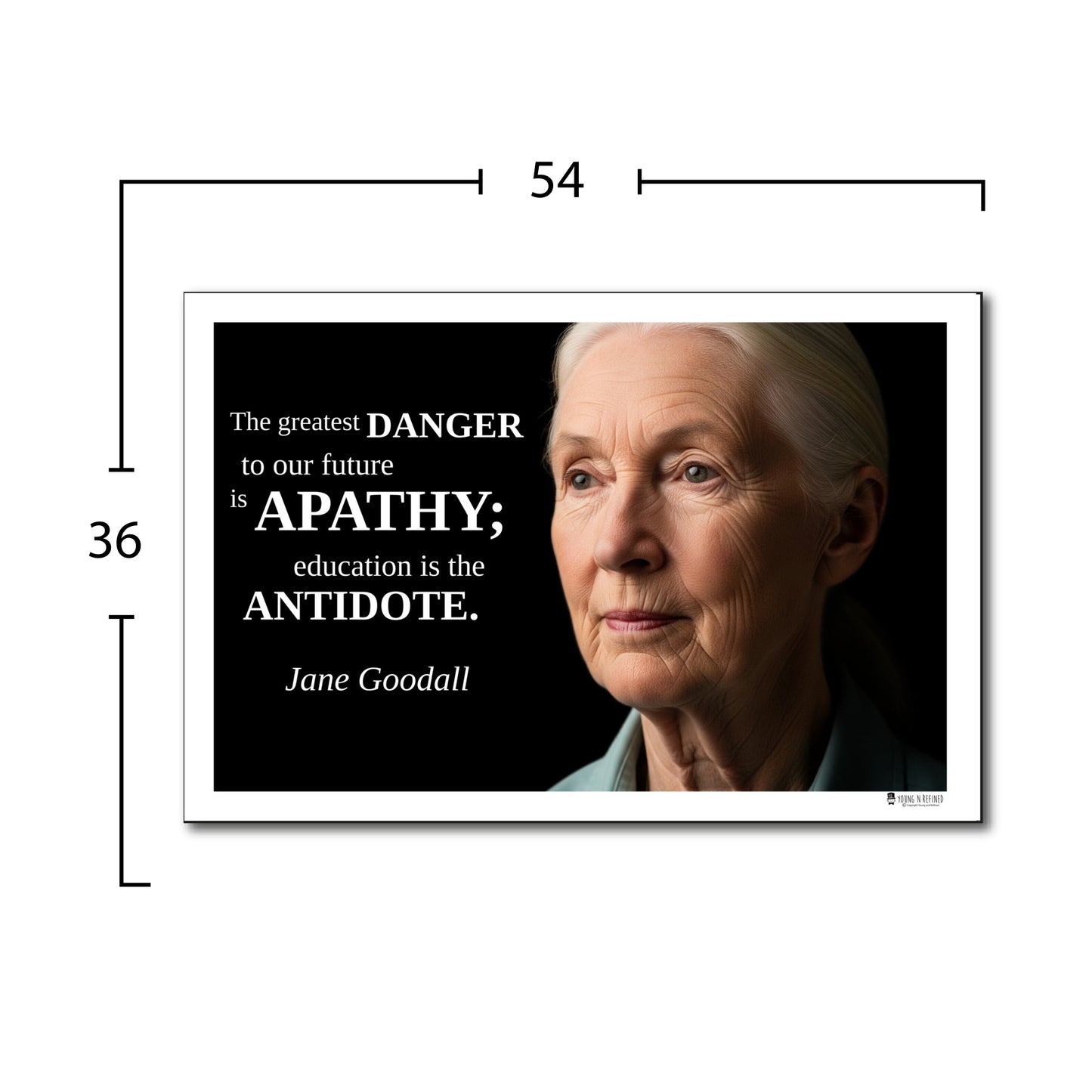 Jane Goodall Inspirational Quote Poster - "The greatest DANGER..."