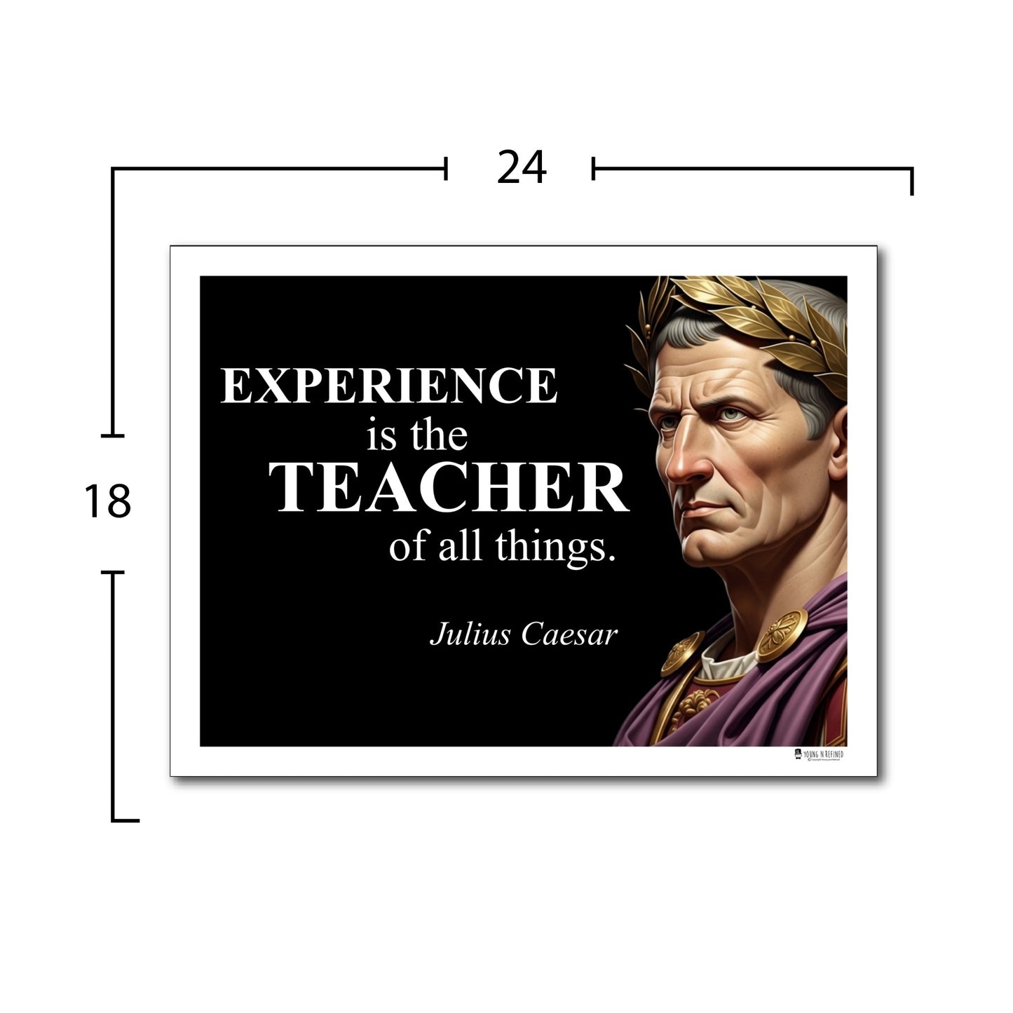 Julius Caesar Inspirational Quote Poster - Young N Refined