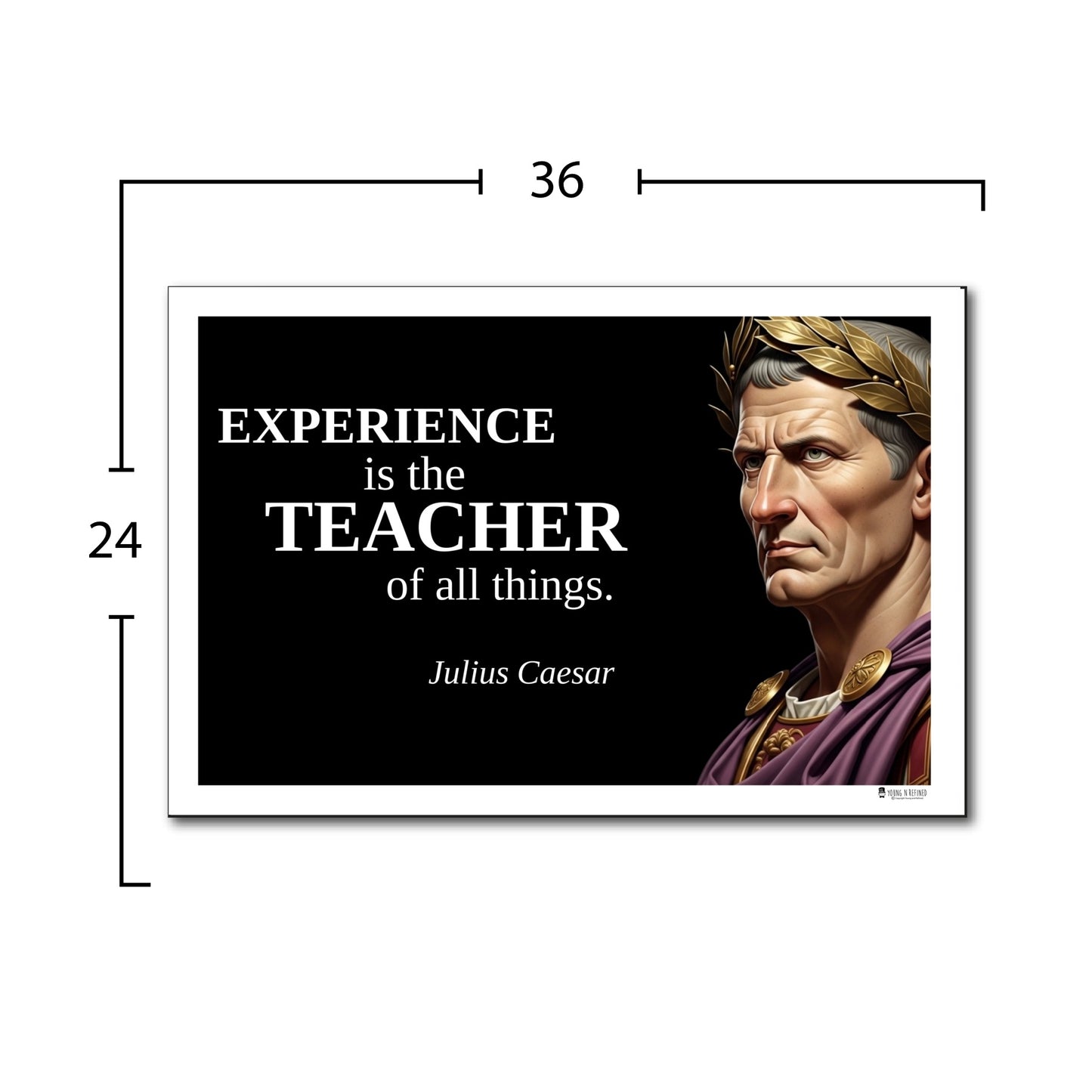 Julius Caesar Inspirational Quote Poster - Young N Refined