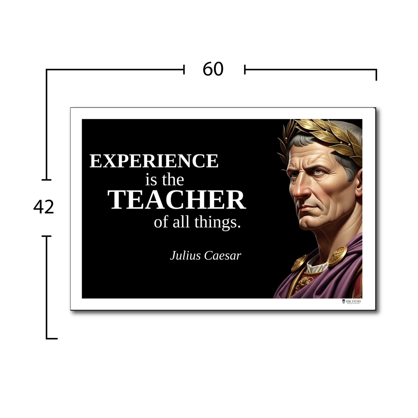 Ashoka the Great Inspirational Quote Poster - Young N Refined