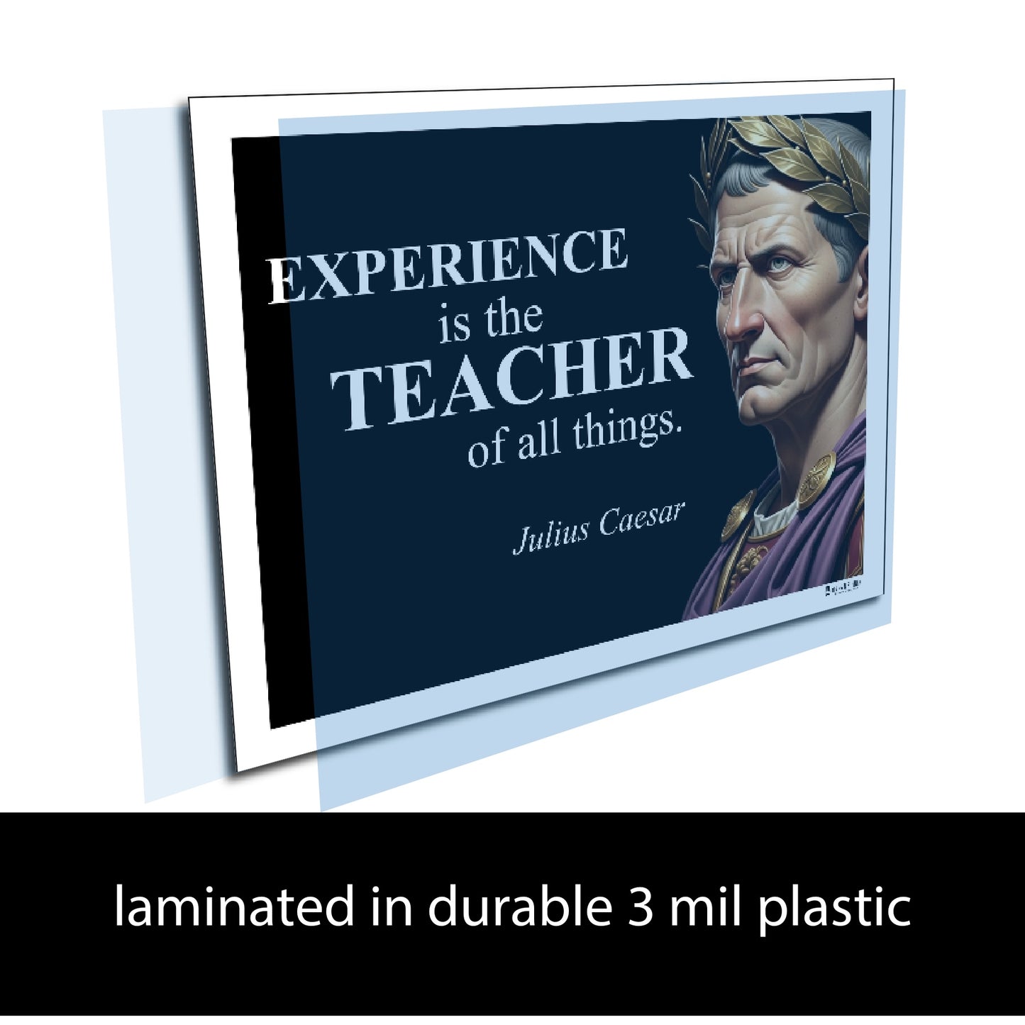 Julius Caesar Inspirational Quote Poster - Young N Refined