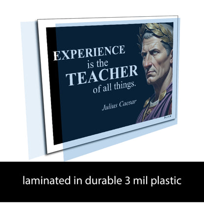Julius Caesar Inspirational Quote Poster - Young N Refined