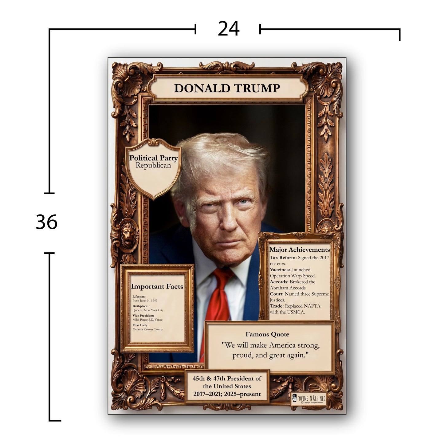 US President Donald Trump Inspirational Quote Poster - Young N Refined