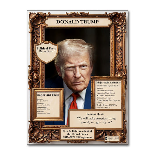 US President Donald Trump Inspirational Quote Poster - Young N Refined