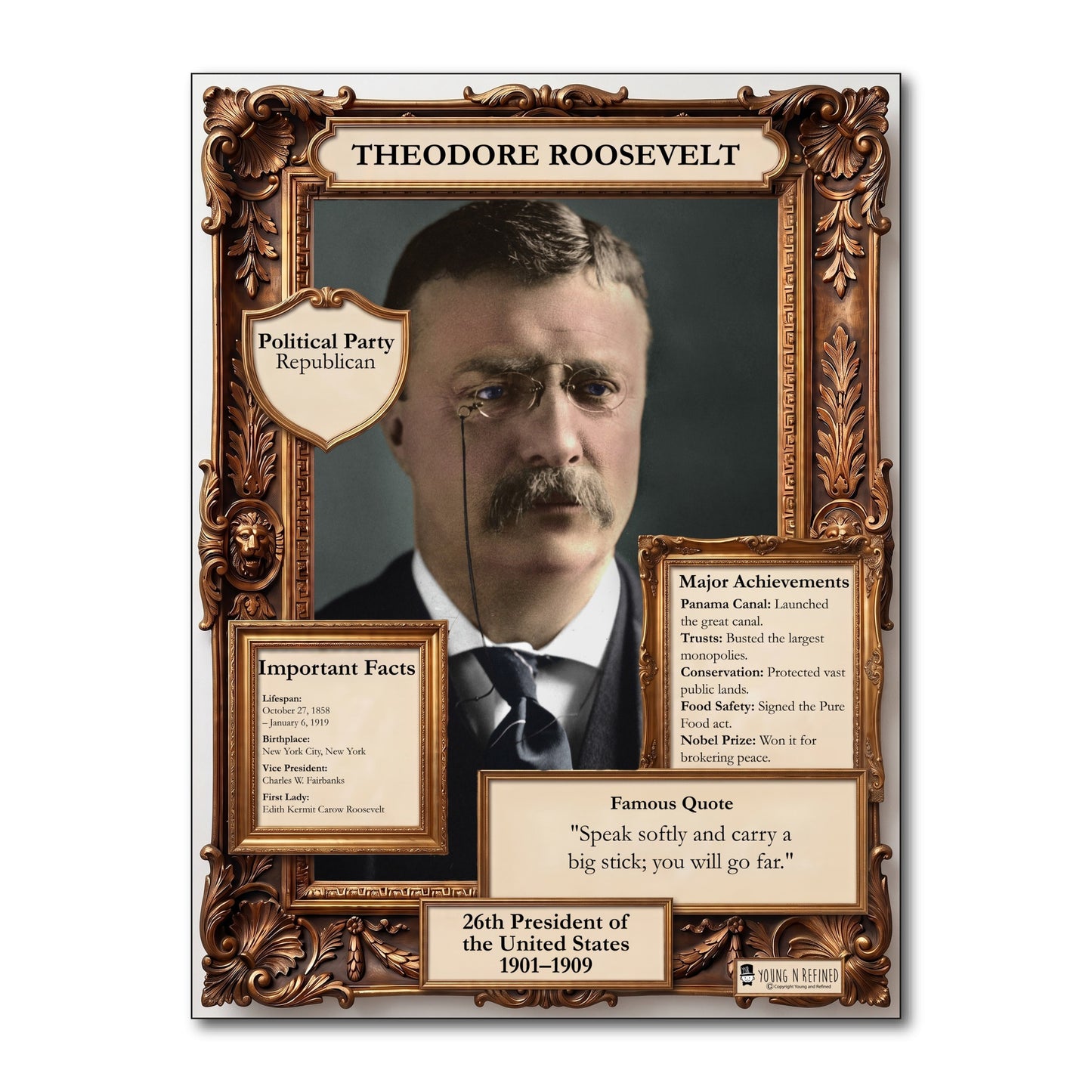 US President Theodore Roosevelt Inspirational Quote Poster - Young N Refined