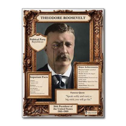US President Theodore Roosevelt Inspirational Quote Poster - Young N Refined