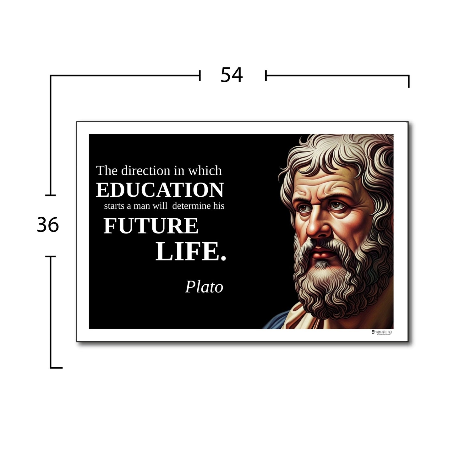 Aristotle Inspirational Quote Poster - Young N Refined