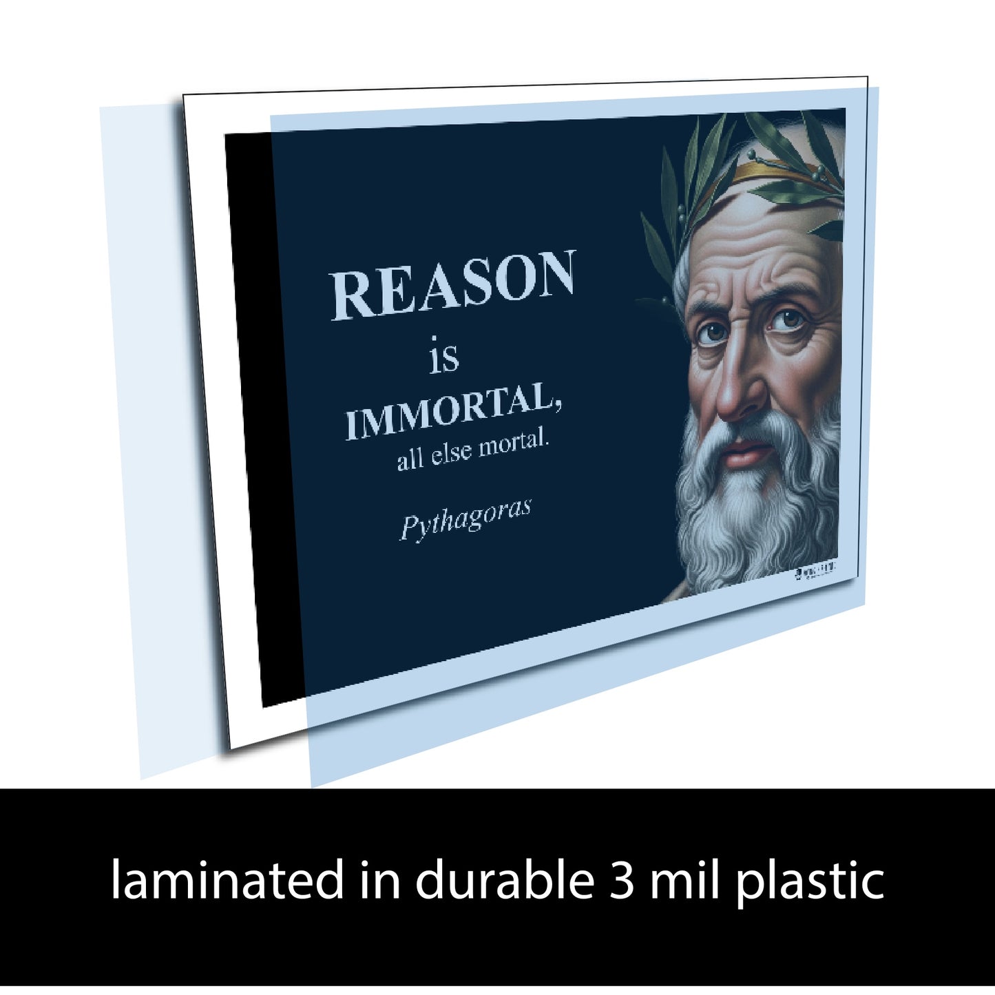 Pythagoras Inspirational Quote Poster - Young N Refined