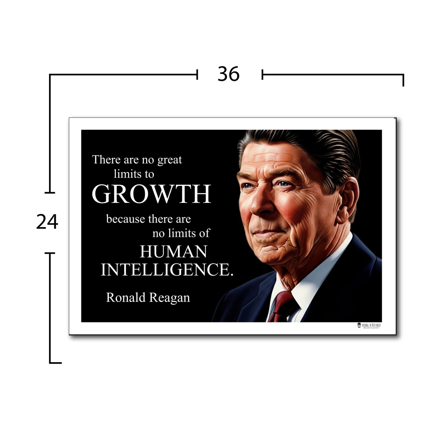 Ronald Reagan Inspirational Quote Wall Art