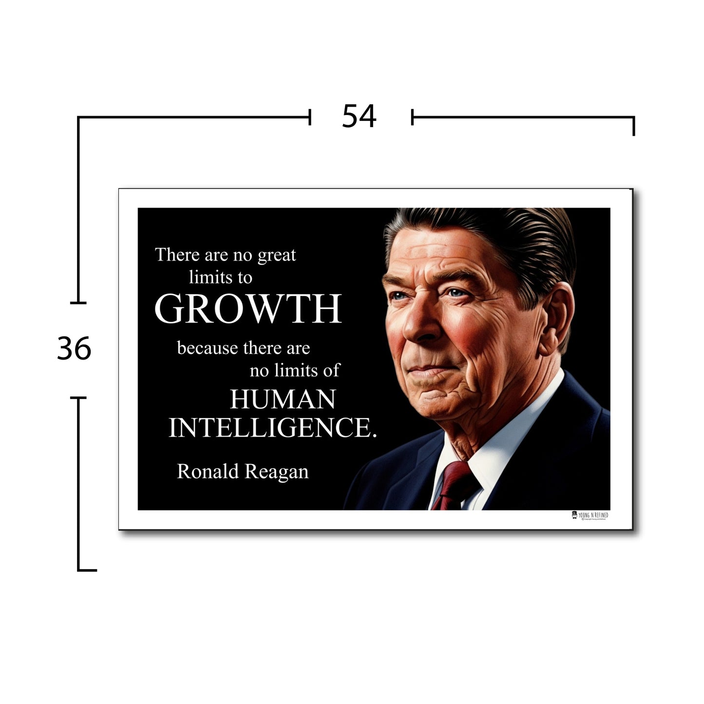 Ronald Reagan Inspirational Quote Wall Art