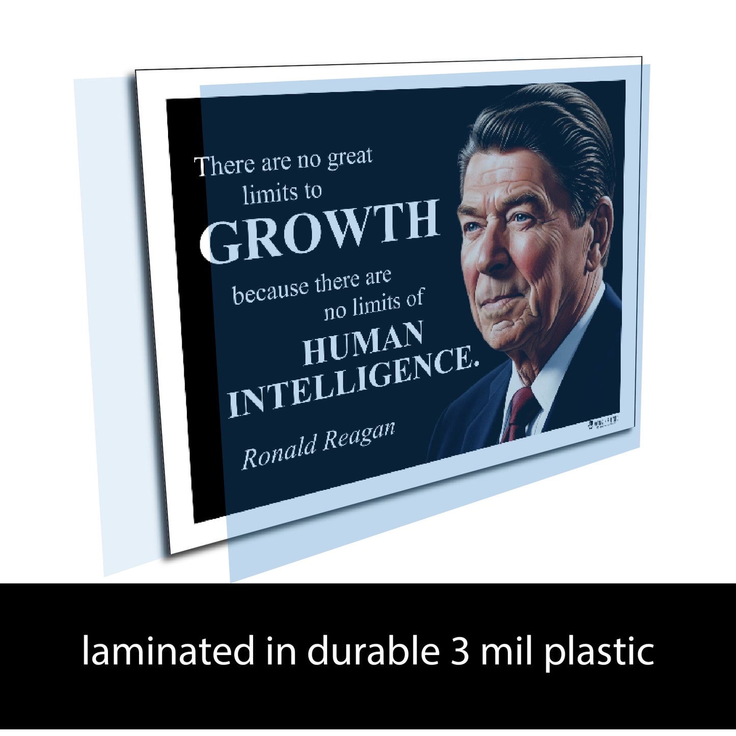 Ronald Reagan Inspirational Quote Wall Art