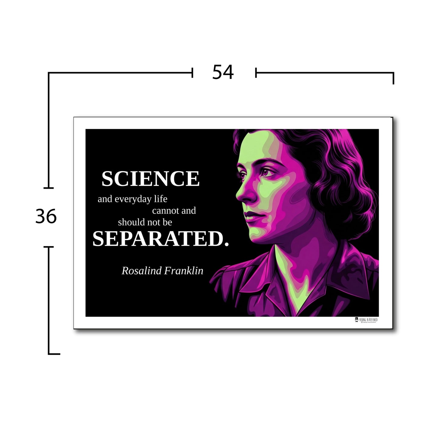 Rosalind Franklin Inspirational Quote Poster - "SCIENCE and everyday life..."