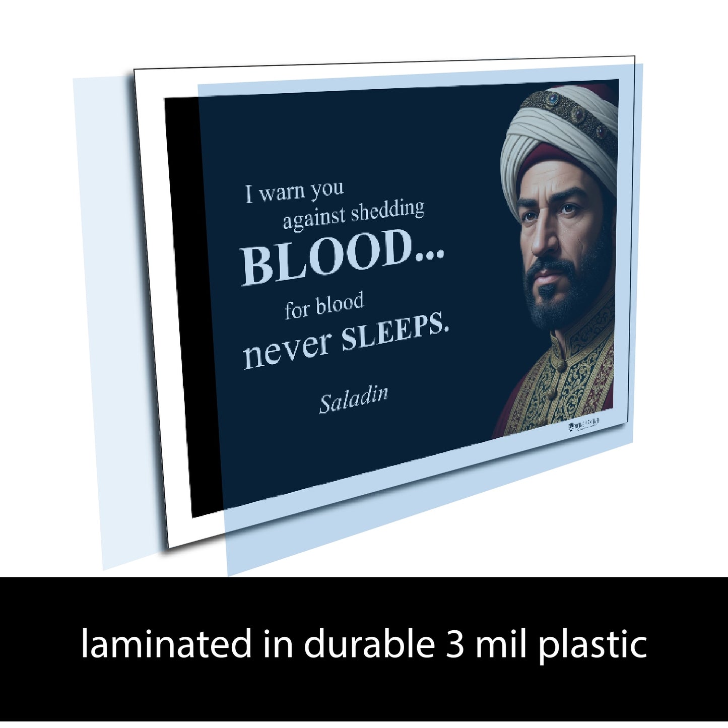 Saladin Inspirational Quote Wall Art