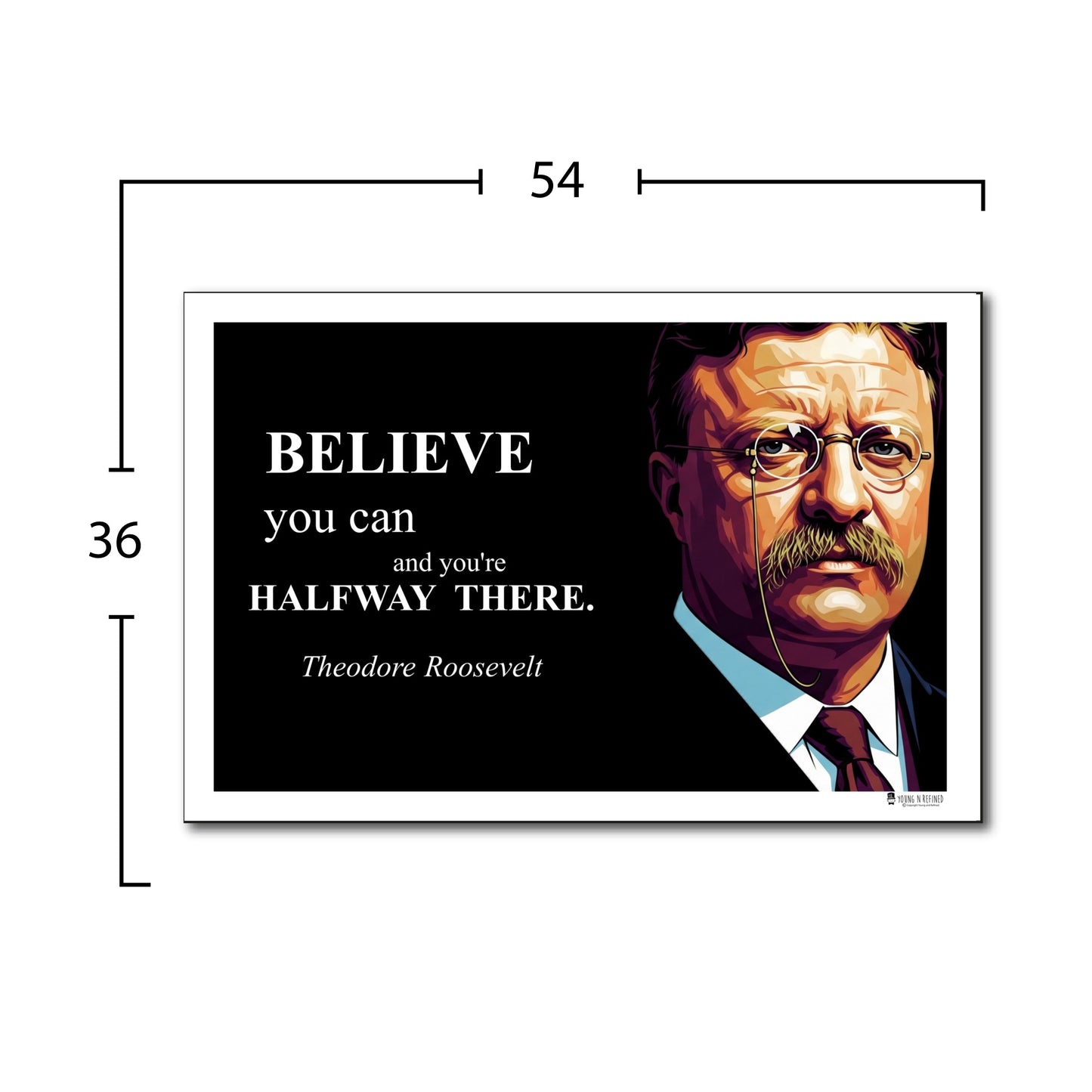 Theodore Roosevelt Inspirational Quote Wall Art