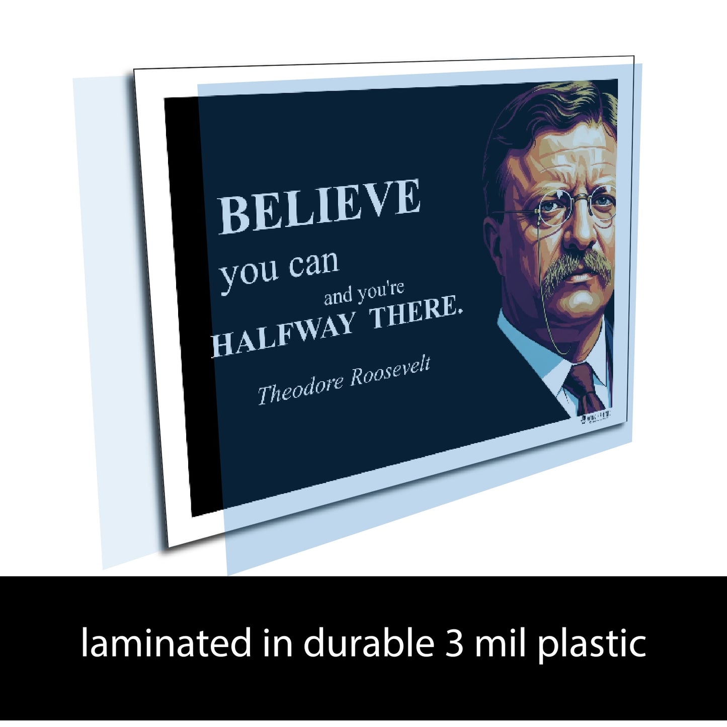 Theodore Roosevelt Inspirational Quote Wall Art