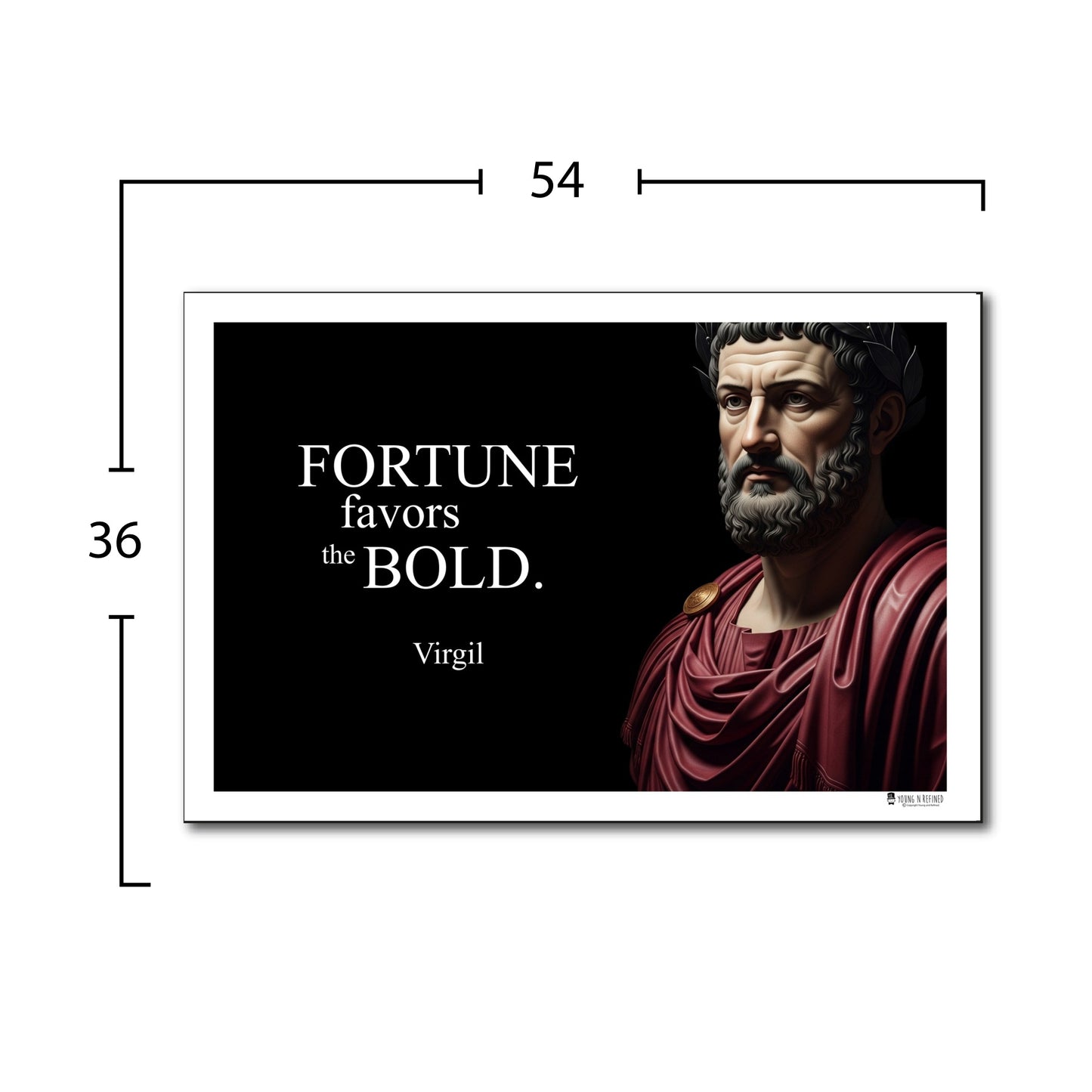 Virgil Inspirational Quote Wall Art