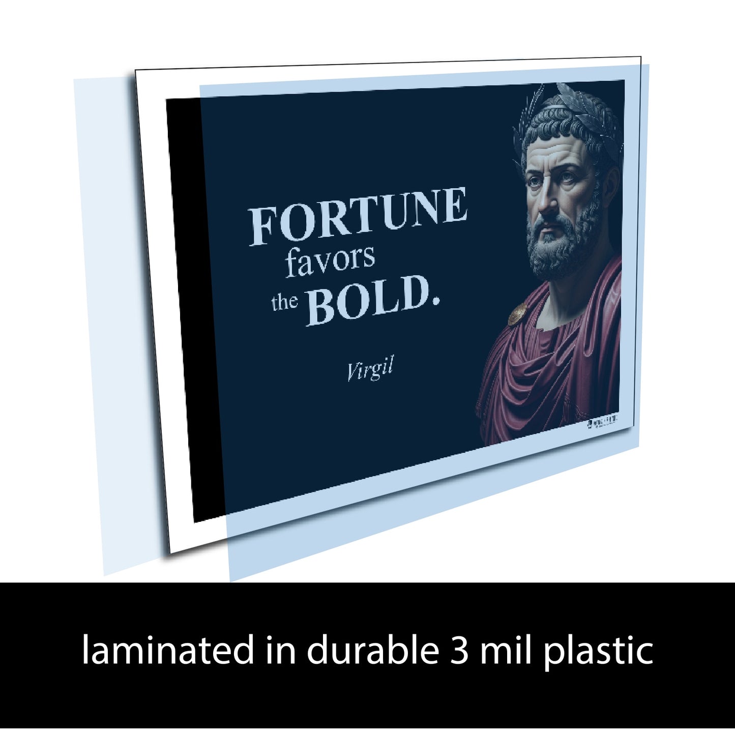 Virgil Inspirational Quote Wall Art