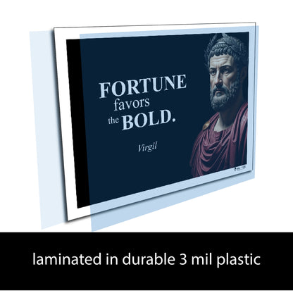 Virgil Inspirational Quote Wall Art