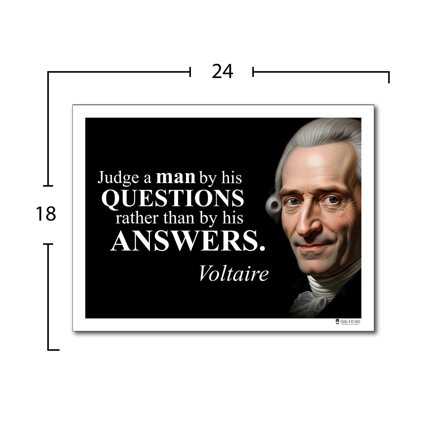 Voltaire Inspirational Quote Wall Art
