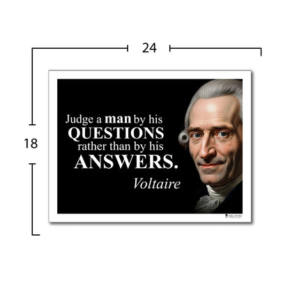 Voltaire Inspirational Quote Wall Art