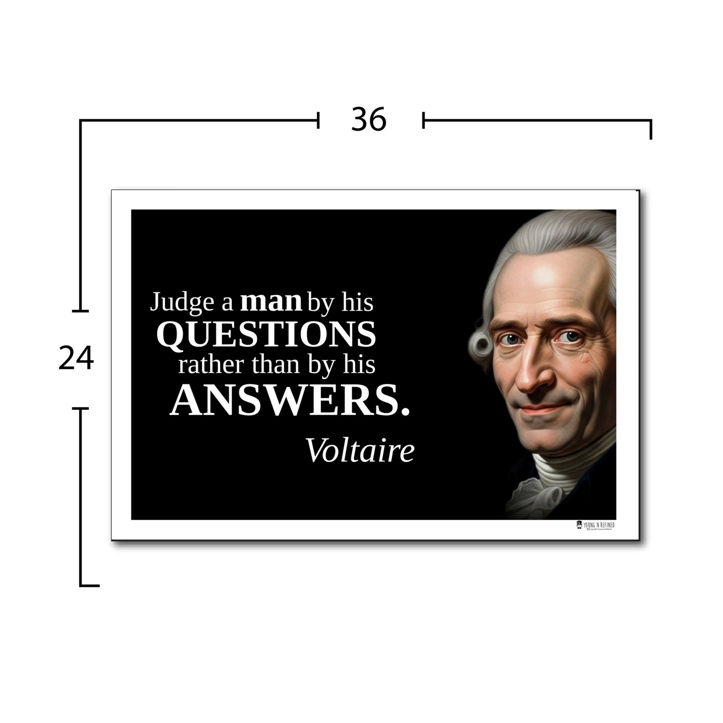 Voltaire Inspirational Quote Wall Art