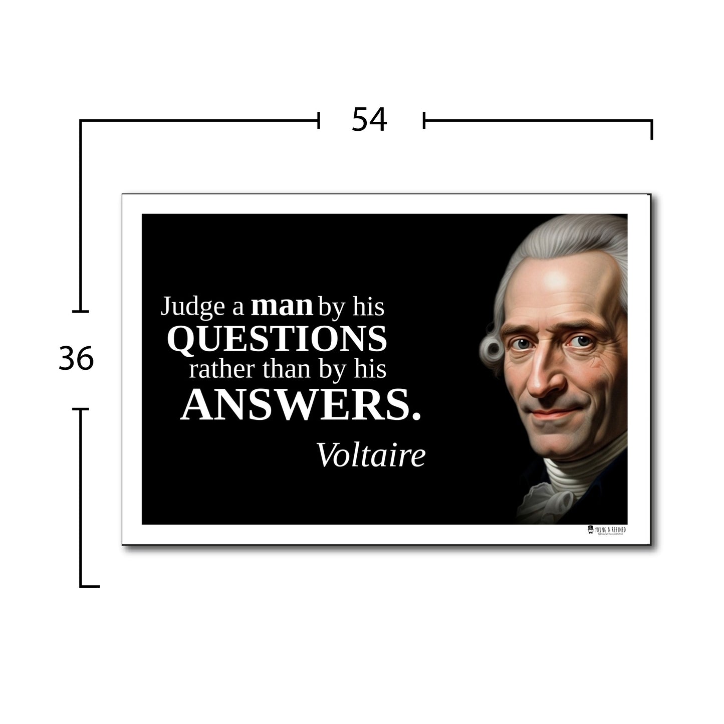 Voltaire Inspirational Quote Wall Art