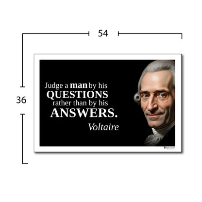 Voltaire Inspirational Quote Wall Art