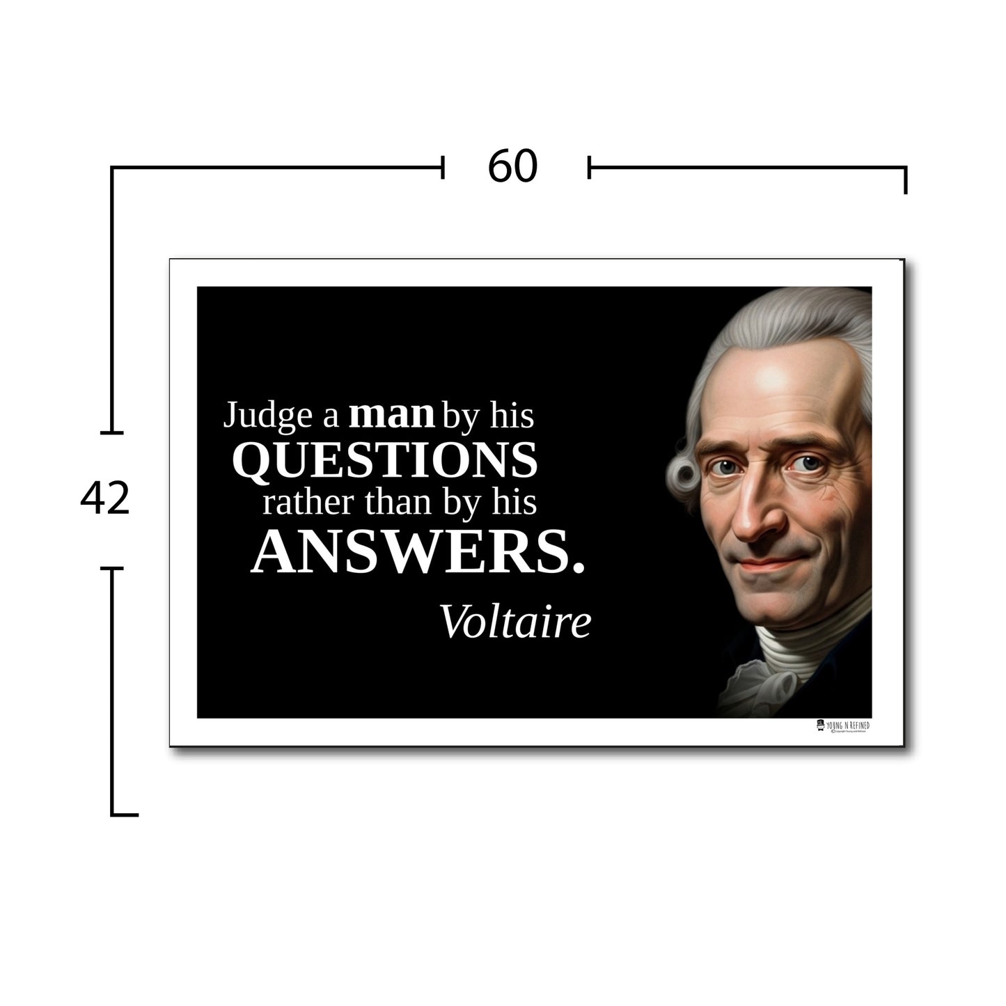 Voltaire Inspirational Quote Wall Art