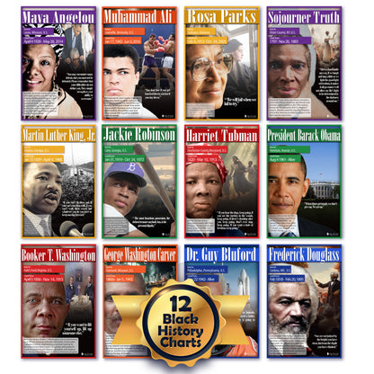 Black History Posters 12 Pack School Charts Glossy Paper Young N Refined