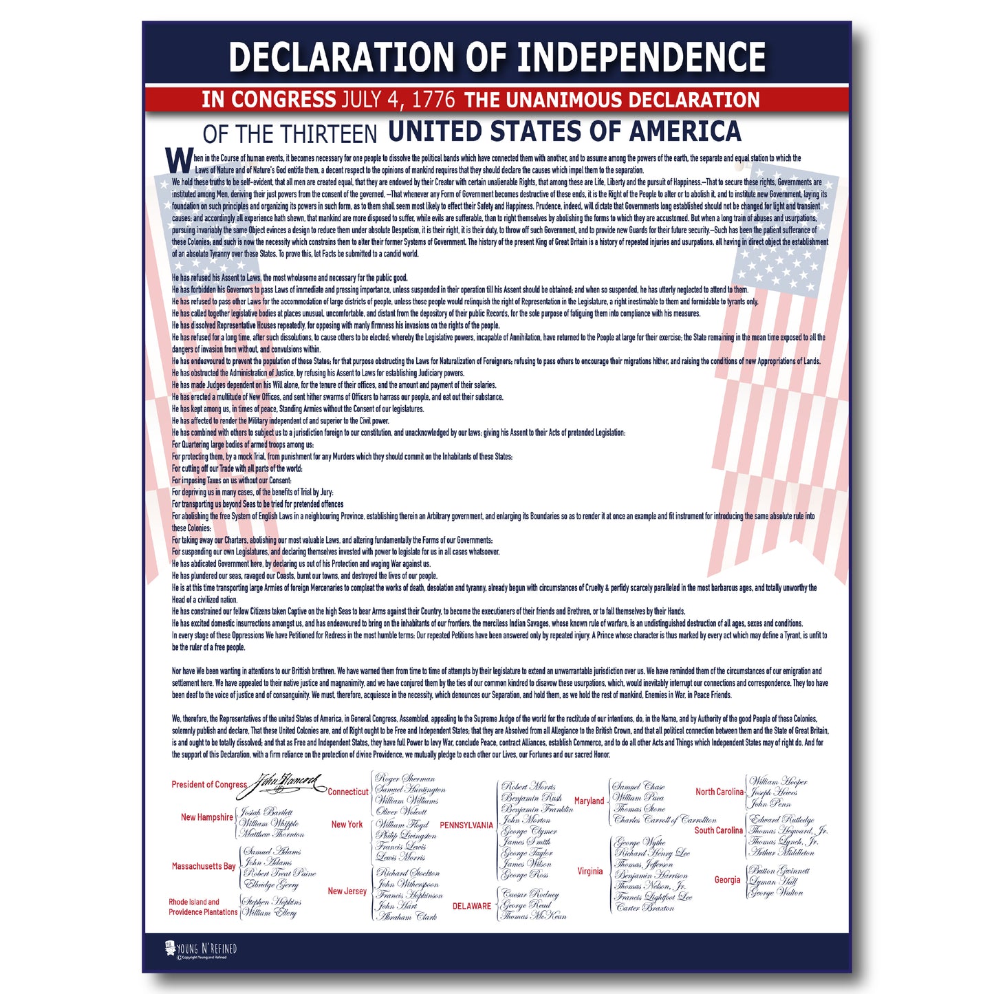 Declaration of Independence Poster Classroom Chart Décor Laminated White Clear Text Young N Refined
