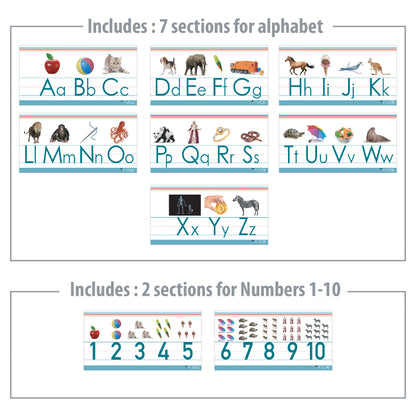 Alphabet and numbers classroom Wall Line for teaching ABCs Young N Refined