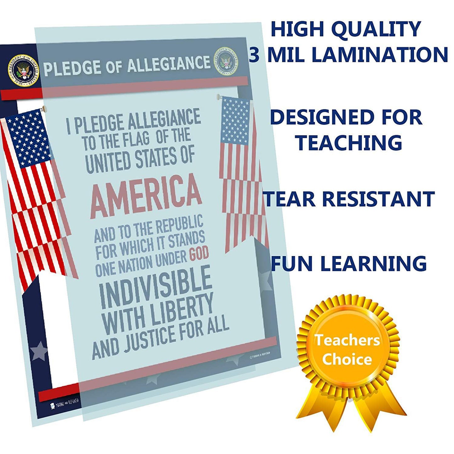 Pledge of Allegiance United States Laminated Classroom Teacher Poster - Young N' Refined