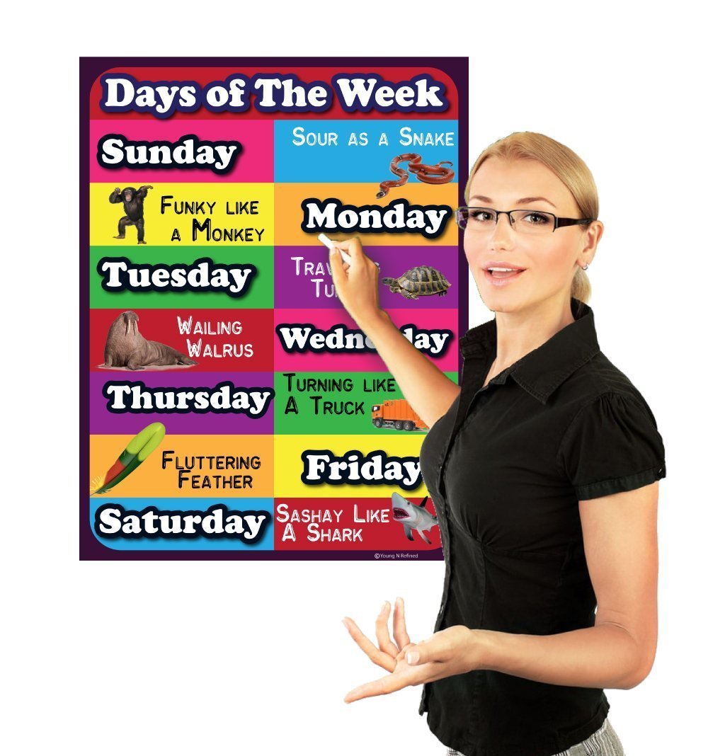 Days of the week Lamintated Educational chart fun poster for kids and teachers with funny lines and animals - Young N' Refined