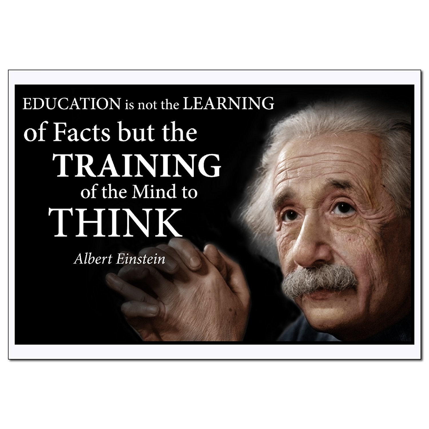 Albert Einstein Education Poster for Home Library Classroom or Office - Young N' Refined