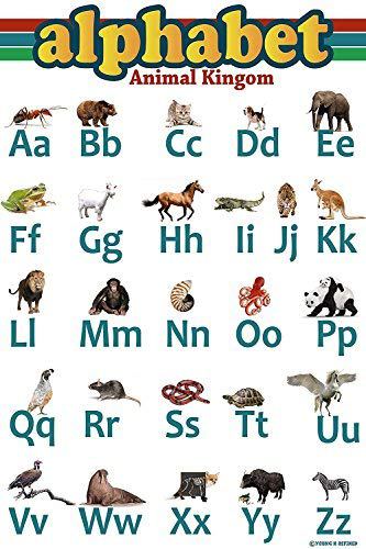 Young N Refined Abc Aphabet Poster Animal Kingdom Laminated edu 24x16 - Young N' Refined