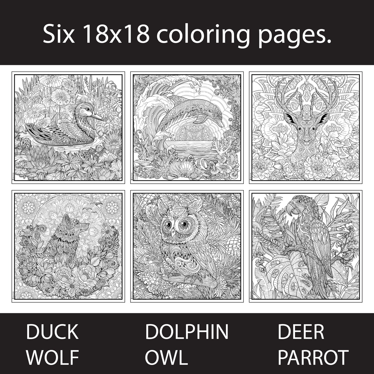 6 Pack of Large Adult Coloring Poster Pages Animals Made of Mandala Floral